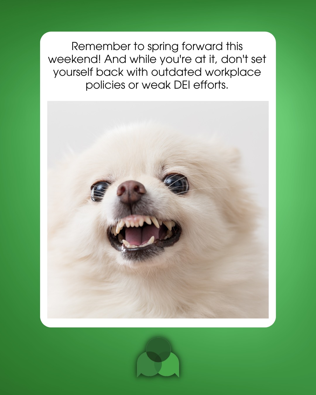 Donāt forget to spring your clocks forward this weekend!
While youāre updating the time, it might be a good idea to check your DEI policies too. Outdated practices can set your workplace back just as fast as losing an hour of sleep. š
A little review now keeps your team aligned, inclusive, and ready to thrive all year long. Ready to update your DEI strategy? Connect with us to get started!