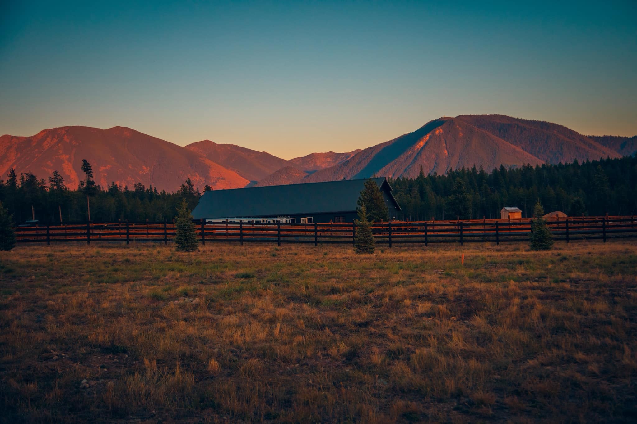 ISO HOME GROOM FOR MONTANA
We are looking to add another member to our farm based in Montana. We are a warmblood breeding operation that specializes in hunters and jumpers.
We do have young horses, stallions, and showing horses. Ideally looking for an experienced person handling these types of horses. We are a no drama, professional operation that loves the horses first and foremost.
At this time it is not a riding position. We can offer a competitive salary, housing, and full benefits for the right person. Please reach out for details.