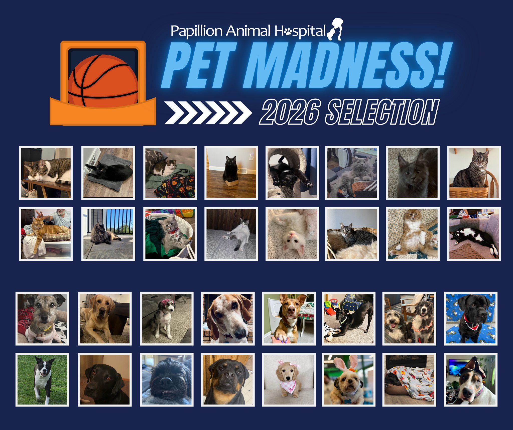 OMG 🤯 We received so many selfies for our March Madness contest! We wish we could include everyone but we had to randomly narrow it down to 32 pets! 💙
Here are the 2026 March Madness contestants - stay tuned Thursday for the first match-up! 🏀🏆