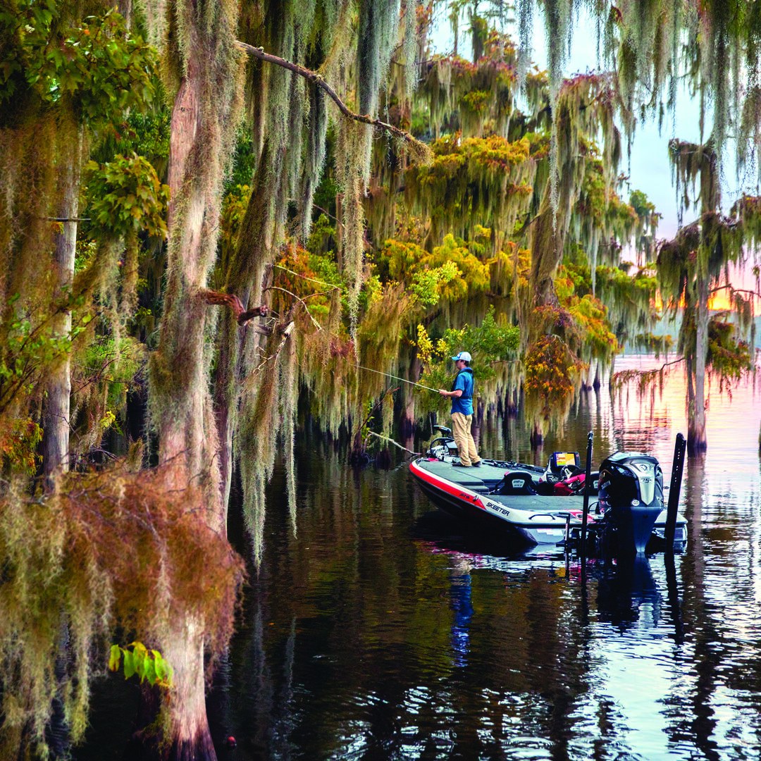 Yamaha VMAX – Built for Performance
When speed, torque and instant throttle response matter, VMAX delivers.
Experience high-performance power with Yamaha reliability behind you.
Learn more: https://tinyurl.com/yc5xw75t
Get Your Quote: 3186 5270
https://www.marinecareqld.com/contact-us
View Outboard Range: https://bit.ly/3wtrHEU
#ReliabilityStartsHere #YamahaAdvantage #Yamaha #YamahaFamily
#YamahaMotorFinance #YamahaMotorInsurance
#revsyourheart #marinecareqld #yamahaoutboardsaustralia