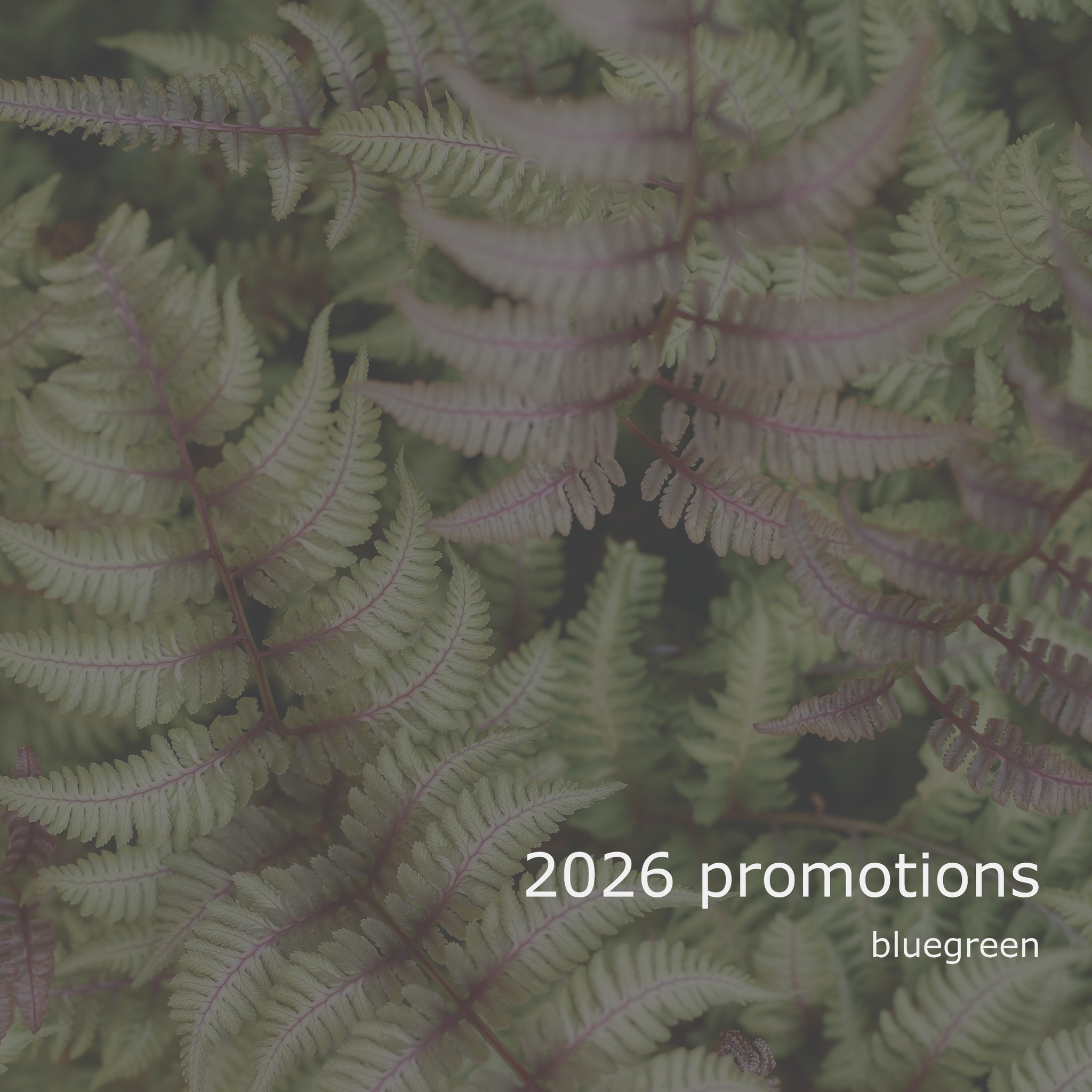 We are incredibly proud to announce the elevation of Matt Moritz to Principal and Matt Bombard to Associate. 👏🏼
They share a name, but more importantly, they share a heartbeat for the work we do. At Bluegreen, leadership isn't just about titles—it’s about leading with genuine care for our clients, our community, and the landscapes we shape.
Matt Moritz, Principal: Joins our leadership team in pursuing Bluegreen’s mission of creating bespoke designs that weave into the cultural fabric of our environment.
Matt Bombard, Associate: Takes on a key role in advancing our studio’s design achievements and mentoring the next generation of talent within our team.
We can’t wait to see the impact these two continue to make as they help steer our studio into the future.