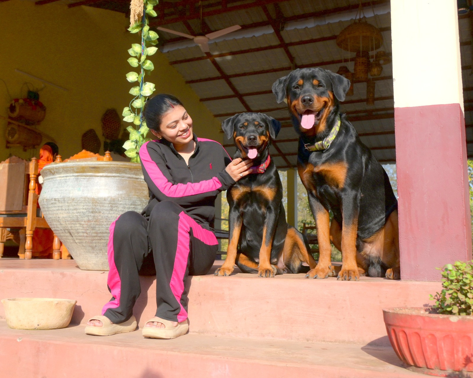 "Meet the guardians of happiness! 🐕🐕 There’s never a dull moment when you’ve got Sun and Shine by your side. Life is just better with these two around! #RottweilerLife #SunAndShine #DogLovers"