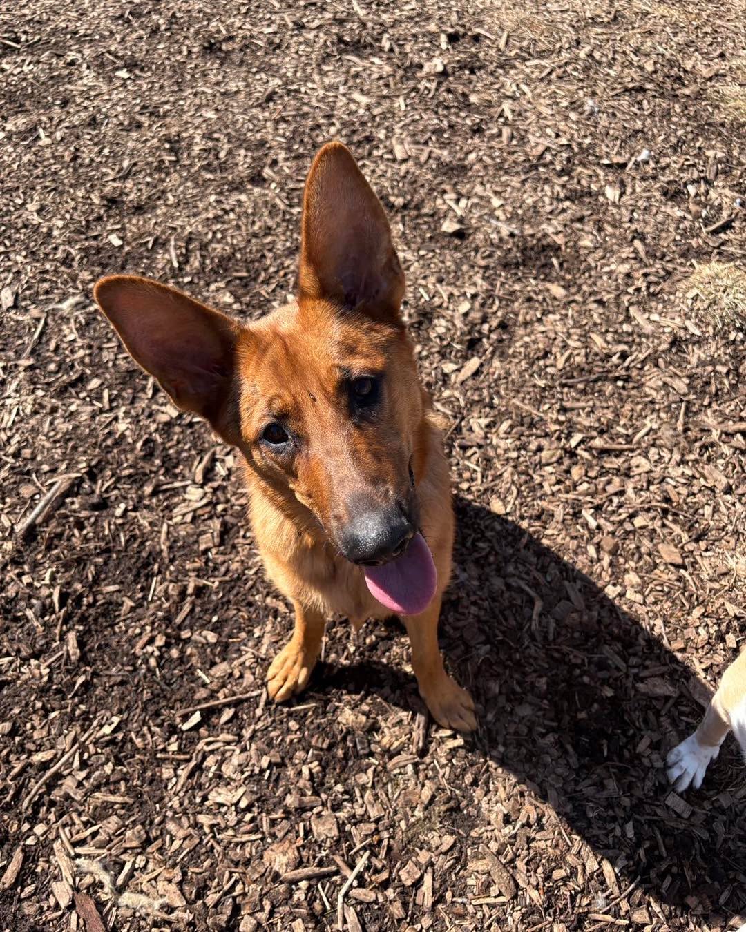 Sunshine and smiles ☀️