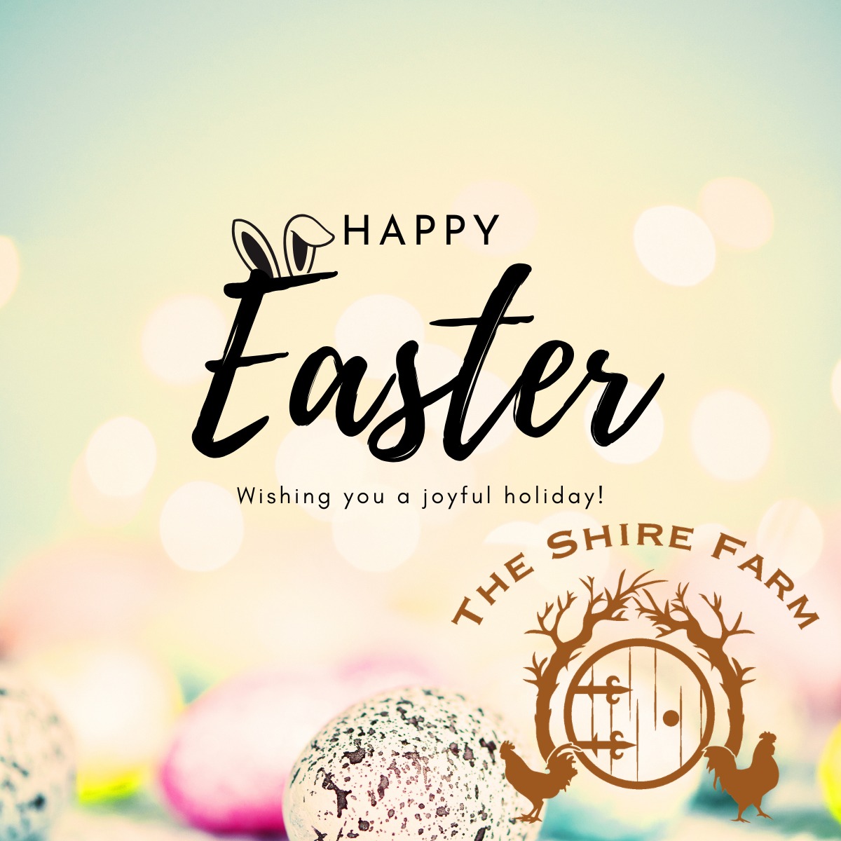 🌷 Happy Easter from The Shire Farm
Spring is a season of renewal — longer days, new growth, and fresh beginnings on the farm.
We’re grateful for our community and for the opportunity to raise food with care for your families.
Wishing you a peaceful and joyful Easter. 🐣🌾
#TheShireFarm #Easter2026 #eatlocal #knowyourfarmer