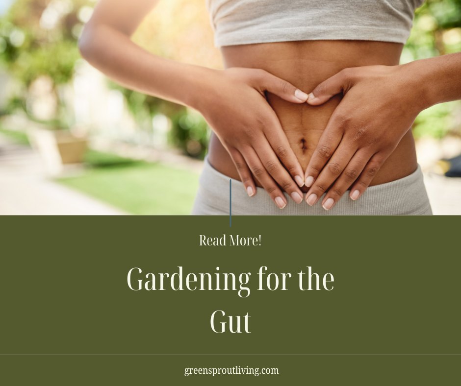 What if the secret to better gut health was sitting right in your backyard? 🌱
Most people think of gardening as a hobby, but it can actually play a powerful role in your digestive health. The soil you touch, the foods you grow, and the plants you harvest all contribute to supporting a healthier gut. Your garden isn’t just growing vegetables… it’s growing the foundation for better wellness.
In this post, I’m digging into the surprising connection between gardening and gut health and how growing your own food can support your digestion from the ground up.
Go check it out and see why your garden might be one of the most powerful health tools you have. 🌿
🔗 Read the full article herehttps://www.greensproutliving.com/post/gardening
#GutHealth #GrowYourOwnFood #GardenForHealth #SoilToGut #NutrientDenseFood #GardenWellness
-#gardenwellness
