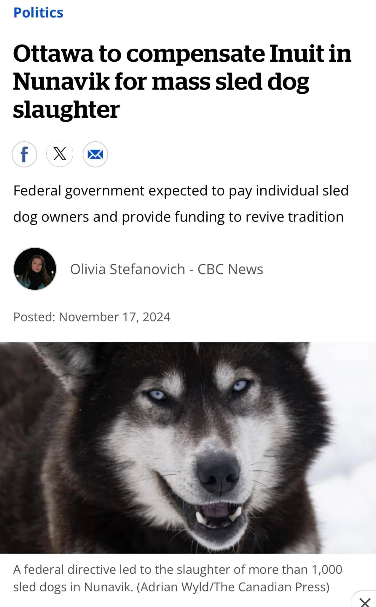 I heard of this terrible slaughter a few years ago....it's unfathomable that this could happen!