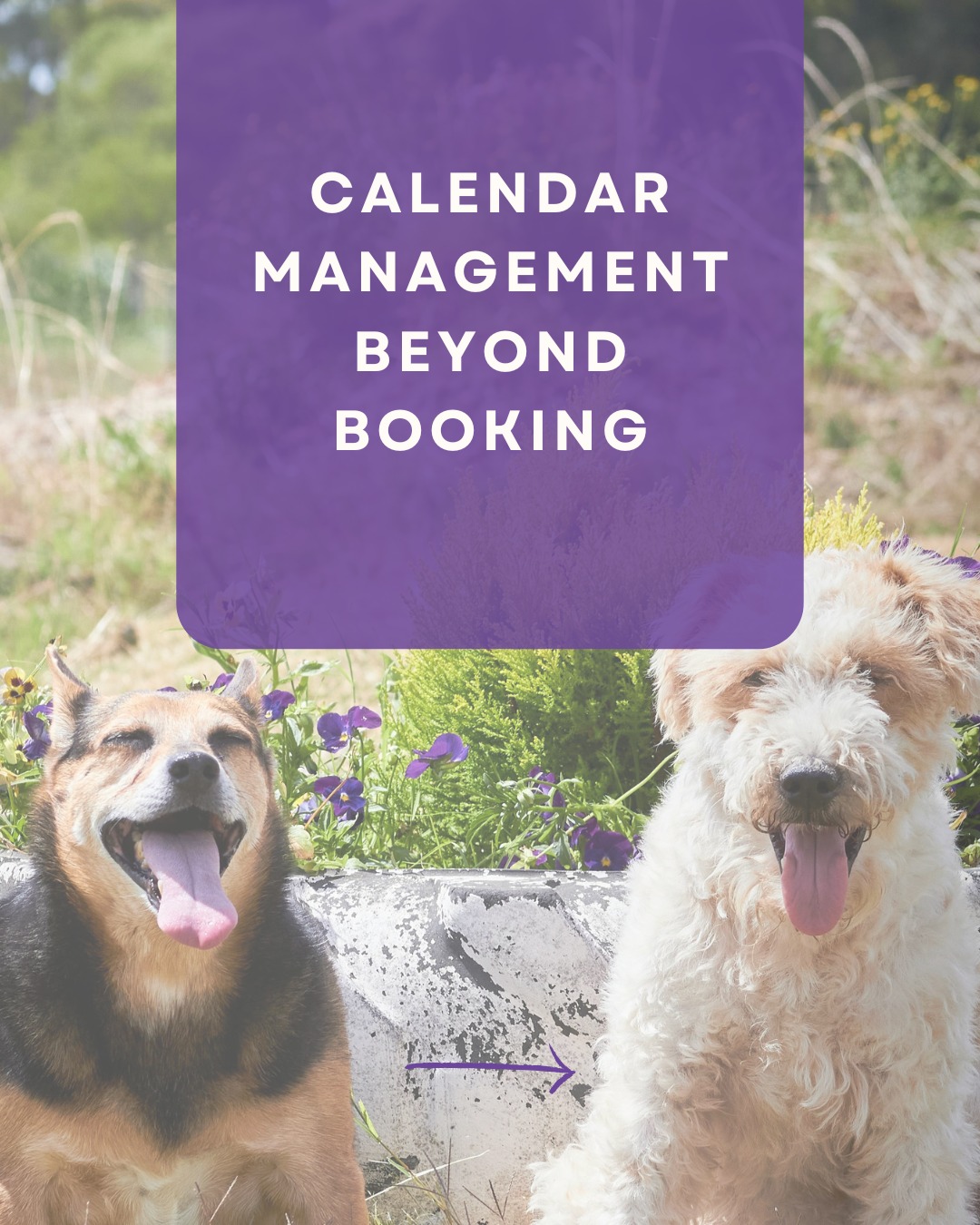 A well-managed calendar supports energy, not just availability.
#LittleWolfCS #CalendarManagement #VirtualAssistant #AdminSupport #WorkSmarterNotHarder #EntrepreneurSupport #SmallBusinessSupport #TimeManagement #BusinessSupport #ProductivitySystems