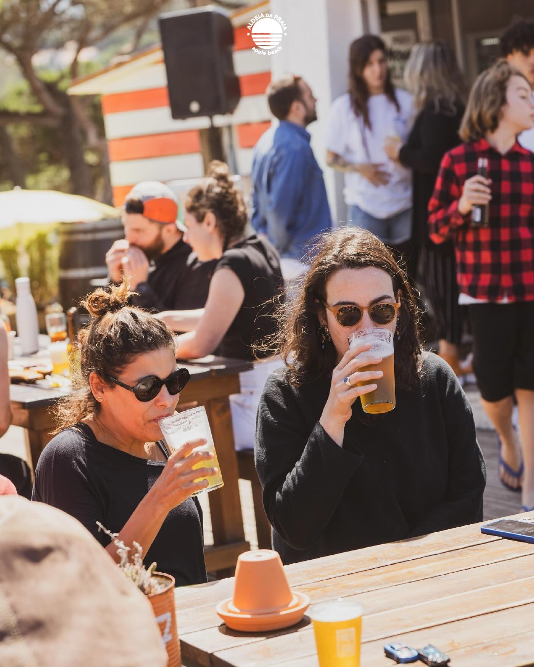🇬🇧 @musaaldeiadapraia needs no caption.
Just good friends and a sunny table.
🇵🇹 @musaaldeiadapraia não precisa de legendas.
Só de bons amigos e uma mesa ao sol.
#AldeiaDaPraia #Musa #MusaCerveja #CervejaArtesanal