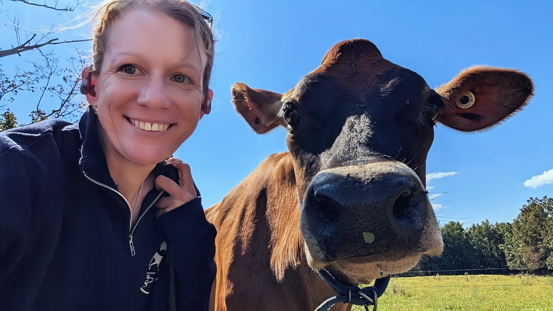 UPDATES From Becky & Bluebelle!
Unfortunately, we will not have beef available at the farmstand until around June 1st. In the previous years, we partnered closely with a friend who shared our farming practices, which allowed us to keep a consistent supply of beef in stock. However, we have made the difficult choice not to continue with this arrangement this year, as the overhead costs have added further financial pressure that we are working to avoid.
For the past two years, we have been focused on growing our own beef herd. Progress is being made, but the process requires patience and time. We appreciate your understanding as we work toward a more sustainable supply.
Farming brings financial stress that can persist throughout the entire year. The ongoing challenge of managing expenses and income is compounded by the constant need to keep up with daily responsibilities. Balancing tasks related to the farmstand, caring for livestock, and handling overall farm operations creates a demanding workload that rarely lets up. Each day requires attention to a variety of duties, and the pressure of maintaining financial stability adds to the relentlessness of the work.
We encourage you to explore and support other farmers as well! Farmers often collaborate, and I hope to soon update our website with a reference page recommending fellow producers of beef, lamb, goat, chicken, roaster hogs, and more. It's been challenging to find time to keep the website current while managing emails. I'm working toward goals to streamline these processes for everyone's benefit!
Also, please stay tuned for a pork bundle I hope to announce early this week!
We are so thankful to you all and for making an extra stop to support us and all our other vendors!