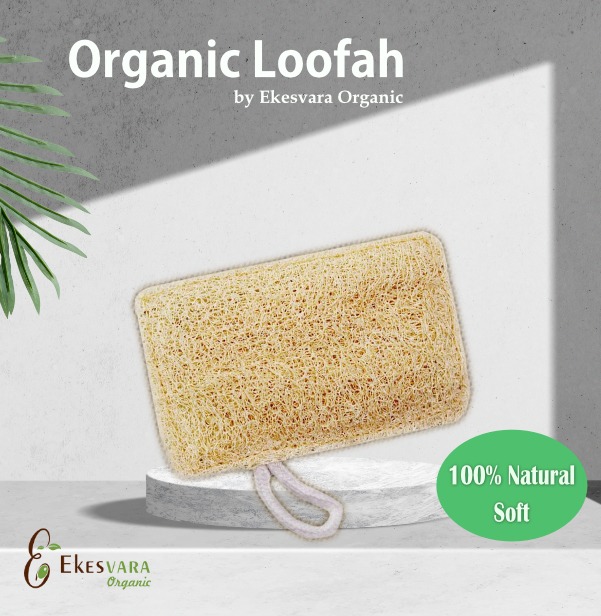 Refresh your bathing routine with Ekesvara Organic Rectangular Loofah —
100% natural
Sun-dried loofahs that gently exfoliate
Boost skin renewal
Fully biodegradable.
Pack of 4, Now ₹120 (was ₹200) — soft on skin, kind to the planet.
Shop now: https://www.ekesvara.in/product-page/rectangular-organic-loofah-natural-sun-dried-body-sponge-scrubber
#EkesvaraOrganic #NaturalSkincare #EcoFriendly #Loofah #Exfoliate #SustainableBeauty