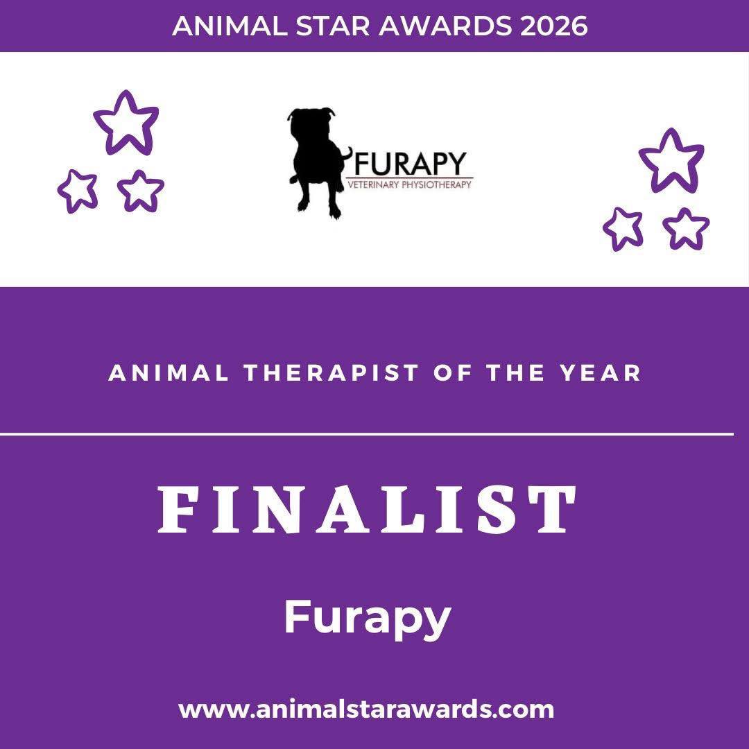 ✨ How exciting! ✨
Proud to be chosen as a finalist for animal therapist of the year!
Most of you know I am always grateful just to be able to treat your lovely dogs and cats so having this recognition is absolutely amazing. Thank you Animal Star Awards!
Let’s see how it goes🤞