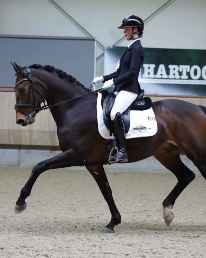 🐴✨ Dressuurwedstrijd op de planning? Dan wil je dat alles klopt. Ook je dekje!
Wij borduren (wedstrijd)dekjes strak en netjes met jouw logo, stalnaam of initialen. Zodat jij de ring in rijdt met die professionele uitstraling waar je trots op bent.
Wat we vaak borduren op een dressuur dekje 👇
✨ Stalnaam of teamnaam
✨ Logo van sponsor of bedrijf
✨ Initialen van ruiter of paard
En het fijne is dat borduren mooi blijft. Ook na wassen, trainen en een seizoen vol wedstrijden.
Wil je een dekje laten borduren voor jouw volgende wedstrijd? Eventueel met matching hoodies, net als deze klant.
Stuur even een foto van het dekje en wat je erop wilt. Dan denk ik met je mee en maken we het precies zoals jij het voor je ziet.
#dressuur #dressuurwedstrijd #paarden #paardensport #paardenmeisje #wedstrijddekje #borduren #borduurstudio #stalnaam #sponsorlogo #inbeeldreclame #zeeland #tholen