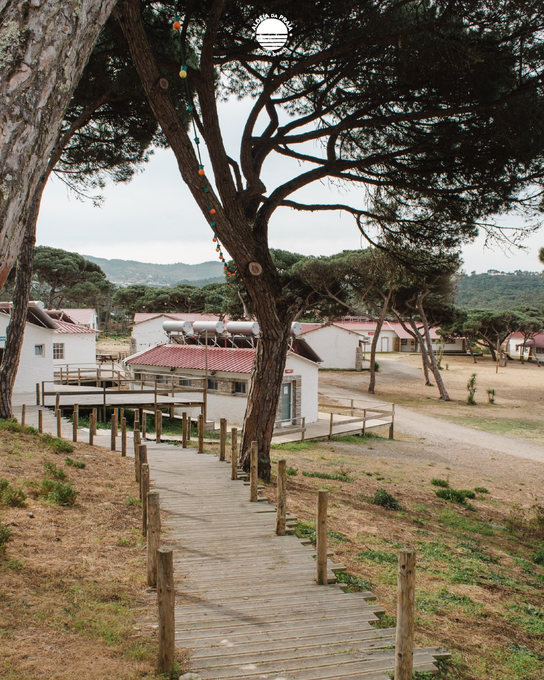 🇵🇹 Dá para começar a semana com calma? Dá.
Dá para trabalhar e sonhar com férias? Também dá.
A Aldeia está sempre à vista.
🇬🇧 Can you start the week slow? Sure.
Can you work and dream of holidays? Always.
Aldeia’s always in sight.
#AldeiaDaPraia #SintraSurf #SurfPortugal #SlowLiving #BeachLife #StayAtAldeia #OasisSintraSurf #HealthyLifestyle