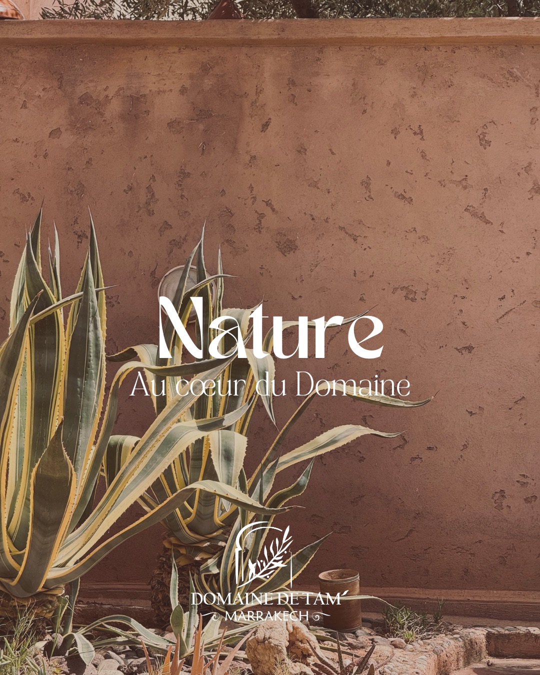 La nature au cœur du domaine 🌿
Profitez d’un séjour en dehors de l’agitation de la ville rouge.
Nature at the heart of the estate 🌿
Enjoy a stay away from the hustle and bustle of the Red City.
#nature #slowlife #marrakesh #maisondhotes #relax