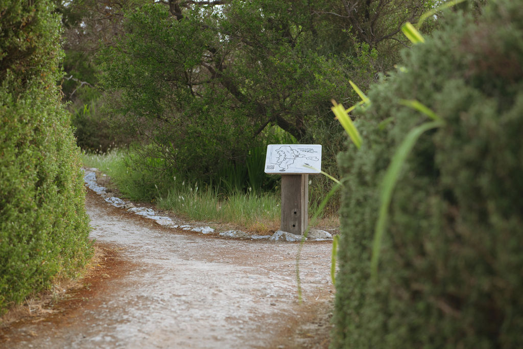 The winding paths of the Kangaroo Island Sculpture Trail were created and are still maintained through the hard work of our community of volunteers.
At this time of year, pruning back the vegetation and reinforcing the paths for winter are the big tasks.
Our volunteers' efforts mean that your donation to the trail go directly towards acquisition of our art collection for all to enjoy. And all donations via the Australian Cultural Fund are also tax-deductible. Consider supporting our Island's most significant cultural art site soon: https://artists.australianculturalfund.org.au/s/project/a2EMn00000a3Sf6MAE/kangaroo-island-sculpture-trail-visitor-support-fund-2026?edit=true
