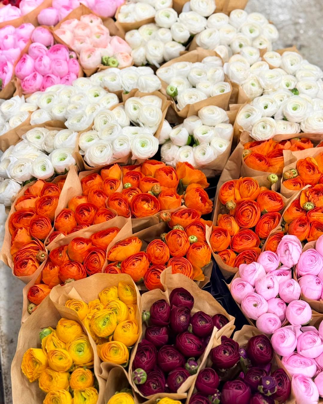 Réveil très matinal direction Rungis 🌸
Mission du jour : réassort de renoncules françaises pour la boutique… et elles sont incroyables ! 🇫🇷😍
Je rentre avec plein de jolies fleurs pour vous préparer de belles choses à La Maison Fleurie 🌿
À tout à l’heure à la boutique ! ✨