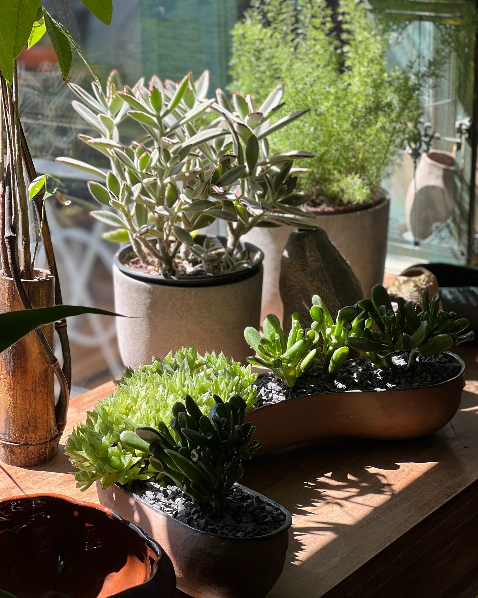 Uma boa composição valoriza o espaço sem exageros ✨
A escolha correta de vasos e plantas cria equilíbrio visual e reforça a identidade do ambiente.
Na Anni Verdi, cada combinação é pensada para dialogar com o estilo e a rotina de quem vive ali.
Não sabe por onde começar? A gente te ajuda.
Clica no link na bio 📲
#anniverdi #vasoseplantas #decoracaonatural #paisagismo #designcomvida