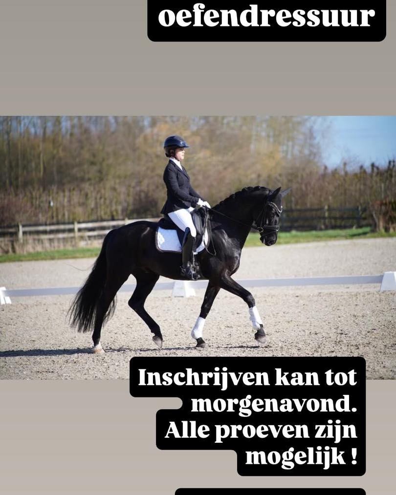 Oefendressuur 15 maart.
Alle proeven mogelijk.
Mogelijkheid tot opwarmen binnen en buiten!
Inschrijven via my.equiscore
Inschrijvingen sluiten maandag 9 maart af!
