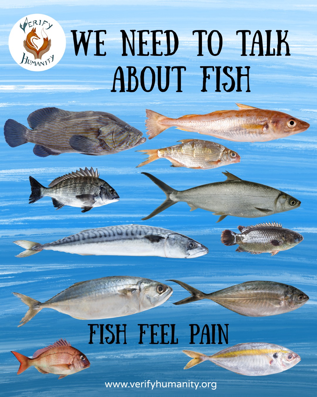 Each year, it is estimated that 1.1-1.2 trillion wild fish are caught. In 2019 alone, 124 billion were killed for food.
Many fish die from suffocation, crushing in nets, freezing while conscious, or even live dissection. They experience fear, pain, exhaustion, injury and stress long before death.
Fish are recognised as sentient beings under EU law, capable of feeling pain and distress. It is evident that fish show psychological stress responses when caught or killed, as well as avoidance learning, for example, learning to avoid hooks or electric shocks.
Rising concern for welfare has intensified criticism of commercial fishing. If we care about reducing animal suffering, we cannot ignore the scale of commercial fishing.
We need to talk about fish welfare and stop pretending fish don’t feel. 🐟
#overfishing #animalrights #sentience #fishwelfare #stopcommercialfishing
Source
fishcount.org.uk