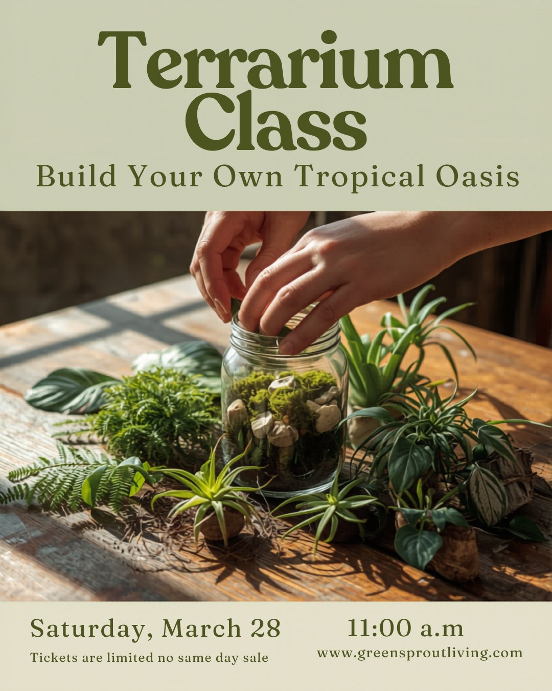 🌿 Ready to play in the dirt…in a jar?
Join me Saturday, March 28th at 11 AM at the Flora Housing Authority on Locust Street in Flora for a hands-on Terrarium Workshop where I’ll walk you step-by-step through building your own unique mini ecosystem. No experience needed—I’ll guide you through the whole process!
✨ All supplies are included, and you’ll leave with a beautiful living terrarium you created yourself. It’s the perfect little way to kick off spring and bring some green back into your home.
🎟 Tickets are limited and the last day to grab yours is March 26th — so don’t wait until the last minute!
🎁 Bring a printed copy of your receipt when you arrive so you can be entered into a door prize drawing to win a fun surprise!
👉 Click the link to purchase your ticket, grab your seat, and come spend a fun morning getting your hands in the soil with me. I can’t wait to see you there! 🌱
https://www.greensproutliving.com/event-details/terrarium-workshop
#terrariumworkshop #floraillinois #springkickoff #plantpeople #growyourown #gardenfun 🌿✨