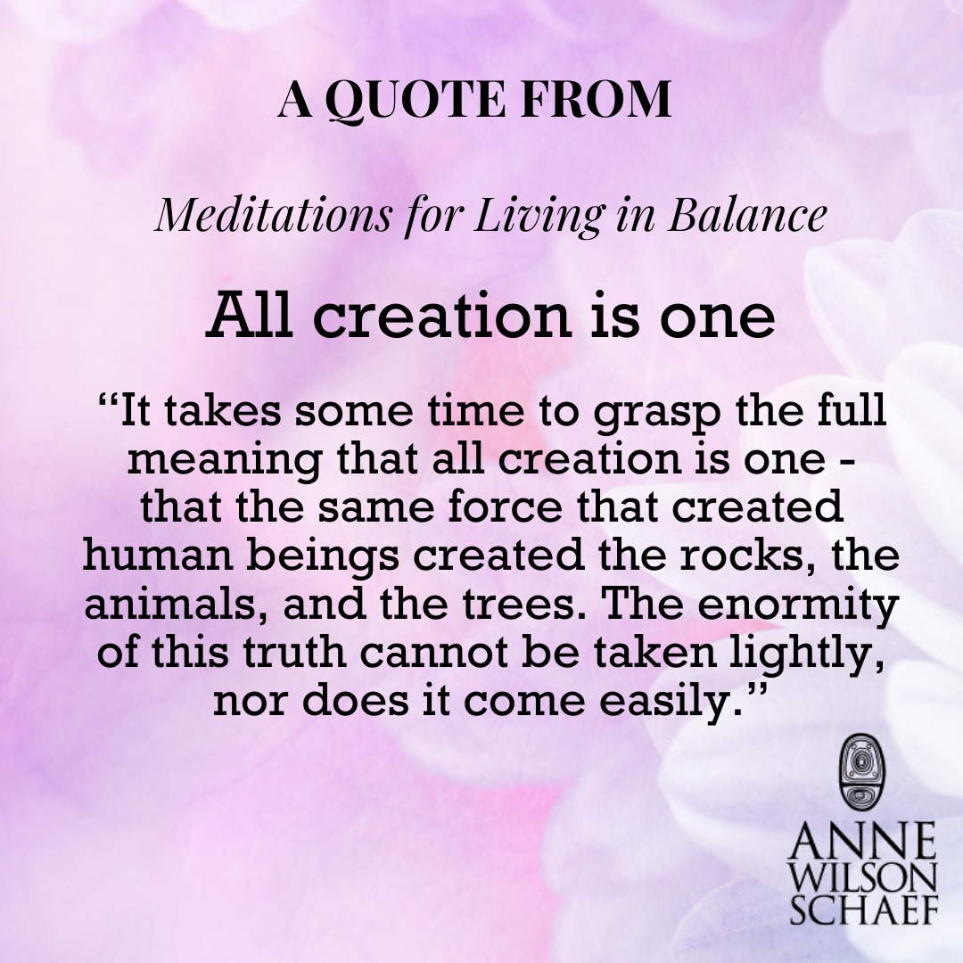 “It takes some time to grasp the full meaning that all creation is one - that the same force that created human beings created the rocks, the animals, and the trees. The enormity of this truth cannot be taken lightly, nor does it come easily.” #allcreation #spirituality #spiritualguidance #equality