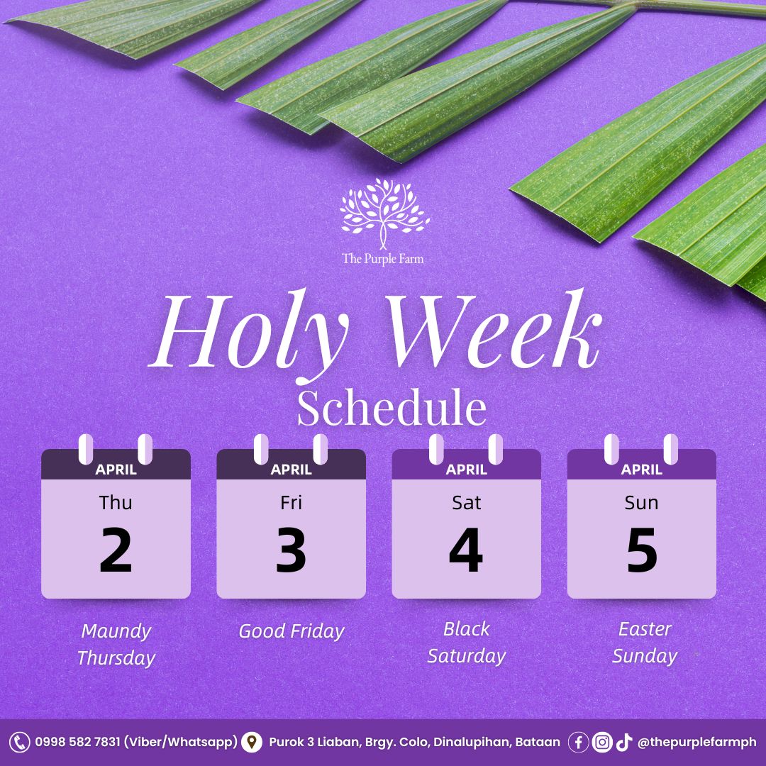 Holy Week Schedule Reminder 🙏💜
Take this time to pause, reflect, and spend meaningful moments with your loved ones.
💬Send us a message on Facebook Messenger or Instagram
📞Contact us on Viber: 0998-582-7831
📍Purok 3 Liaban, Brgy. Colo, Dinalupihan, Bataan
#ThePurpleFarmPH #HolyWeekRetreat #HolyWeek2026 #BataanGetaway #PeacefulEscape #FamilyTime #NatureStay