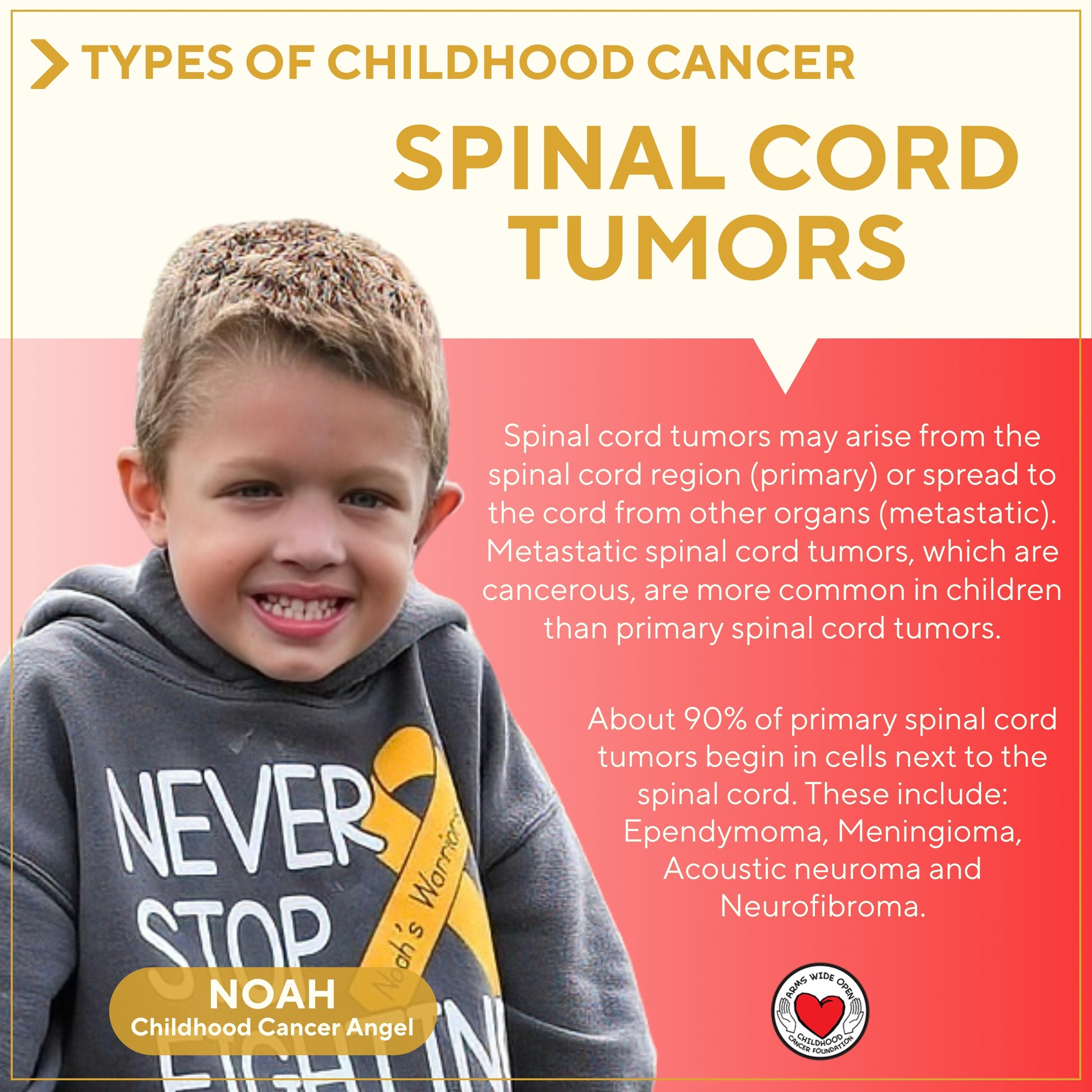 Did you know? There are many different types of childhood cancer, some more common than others.
Spinal cord tumors may arise from the spinal cord region (primary) or spread to the cord from other organs (metastatic). Metastatic spinal cord tumors, which are cancerous, are more common in children than primary spinal cord tumors.
About 90% of primary spinal cord tumors begin in cells next to the spinal cord.
These include:
Ependymoma, Meningioma, Acoustic neuroma and Neurofibroma.
To learn more about the many types of childhood cancer, visit: https://www.thetruth365.org/the-truth-365
Pictured is childhood cancer angel, Noah 🎗️