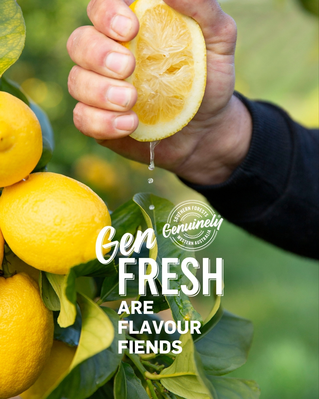 You are a flavour fiend.
You chase taste in every bite, the sweet, the tangy, the rich, the earthy. Freshness isnāt just about colour or shape; itās about flavour that makes your senses sit up and take notice. In the Southern Forests, warm days and cool nights help crops develop flavour slowly, so produce isnāt simply grown to fill orders, itās grown to taste exceptional.
Gen Fresh is for people like you, people who appreciate the farmers tending the soil, the hands packing the harvest, and the chefs bringing it to life, all working to deliver food that bursts with genuine flavour.
Gen Fresh means flavour isnāt optional. Itās the benchmark. If you crave real flavour in every mouthful, you are Gen Fresh.
#GenFresh #GenuinelySouthernForests #TasteTheSeason