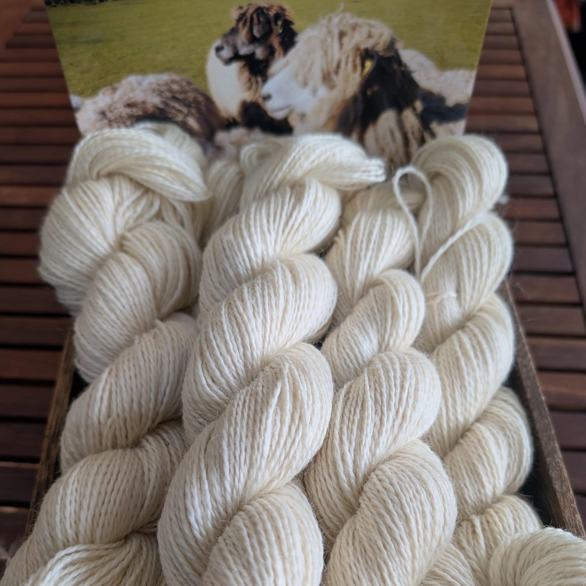 Today I've had back the first yarn from last year's Leicester Longwool fleeces and it's fantastic. It's been worsted spun by @diamondfibres and the lustre and softness is amazing. This is the double knit weight and will be available at the @eastangliayarnfestival next week. I'll get it on the website in the next few days.
The 4 ply and aran will be arriving in the next few weeks along with slivers from our two black faced girls. I can't wait. And I'm so proud to have a flock of such wonderful wool machines!
#britishwool #rarebreed #rarebreedsheep #leicesterlongwool #woolcrafts #crochet #knitting