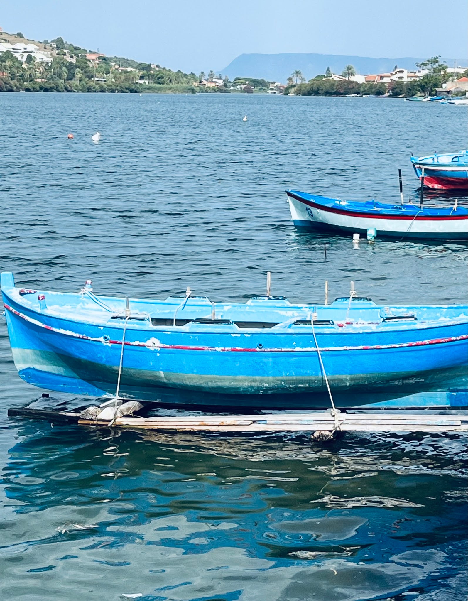 If only these boats could talk ...