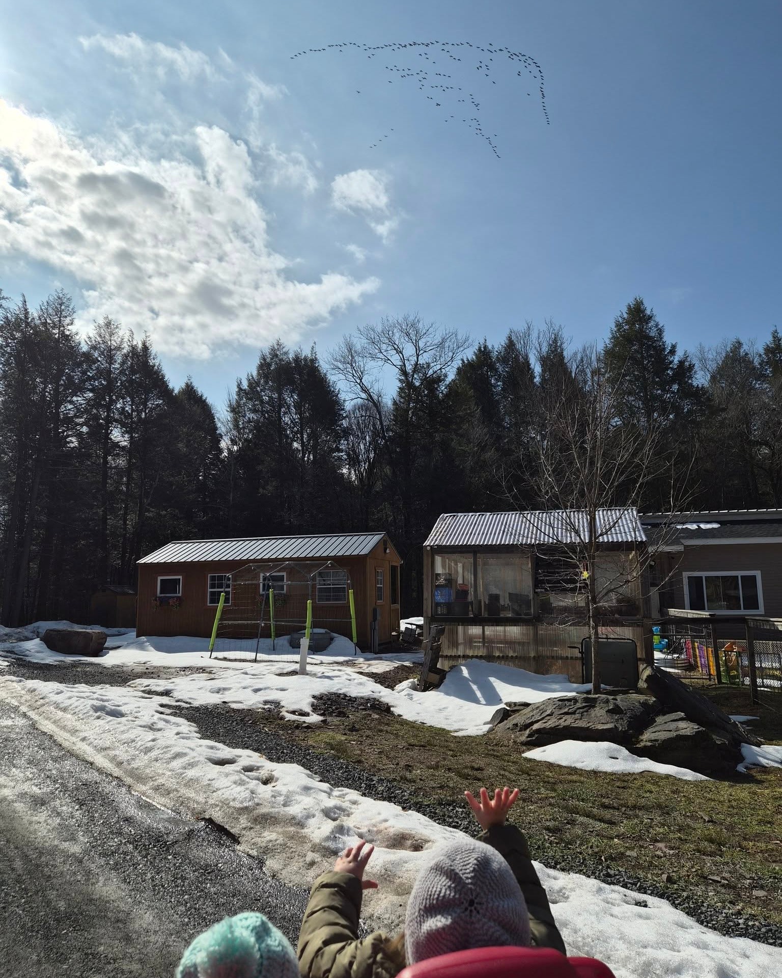 Sometimes the first signs of spring appear in the sky.
On a recent stroll, we noticed geese flying in formation and honking way up high. It's exciting to see the birds coming back. I wonder what birds we might spot next? #naturebasedlearning #sullivancountyny #thevalleyfellowship #outdoorchildhood