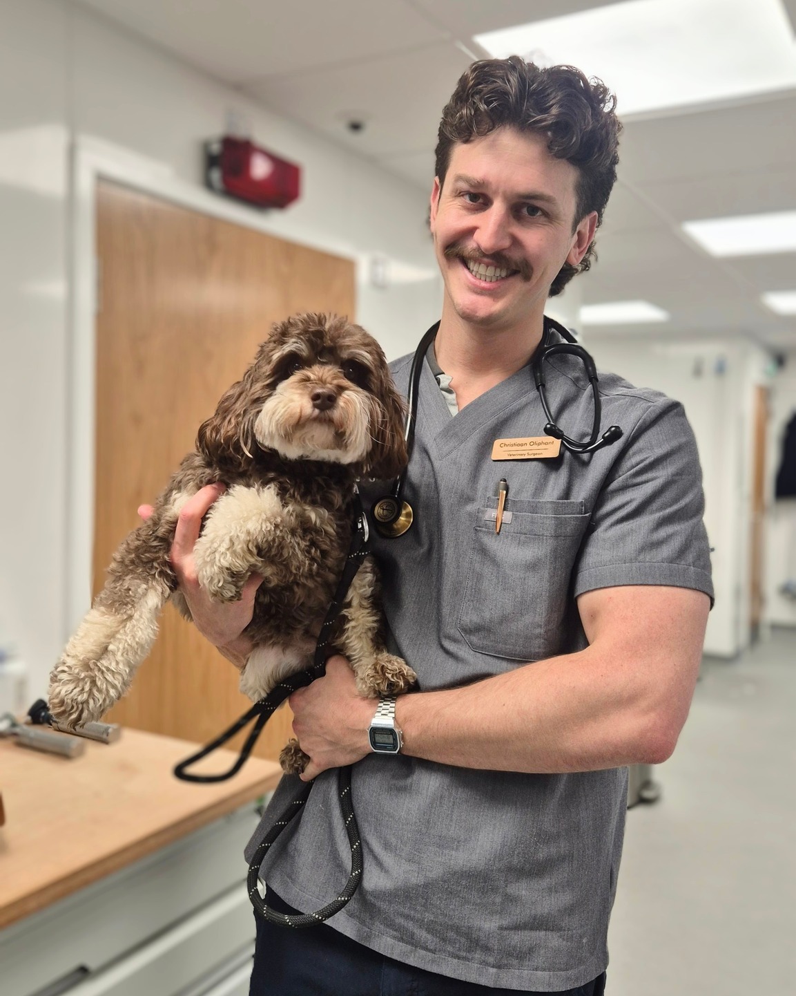 Ruby is a very sweet little dog who came to see Christiaan because she had been occasionally hopping on her left hind leg. On physical examination, our vet Christiaan found that Ruby had a medial patellar luxation, meaning her kneecap was slipping out of place.
Pre-operative x-rays were taken to assess Ruby’s knee and plan the surgery. Because this had been happening repeatedly, surgery was recommended to correct the problem and help prevent future pain and lameness. Ruby’s owner agreed, and Christiaan performed the procedure to reposition the attachment of the patella so it would track properly in the groove. Post-operative x-rays were taken to assess and confirm that her kneecap was correctly positioned ❤
The surgery went very well, and Ruby recovered smoothly with pain relief and plenty of rest and TLC from our veterinary nursing team. At her first recheck, she was already putting weight on her leg, and her wound had healed nicely. She continues to recover as expected, and we’re very pleased with her progress ❤
#thewoodbridgevets #independentpractice #veterinarypractice #veterinaryservices #veterinarymedicine #veterinaryteam #veterinarycare #luxatingpatellasurgery #luxatingpatellarecovery #veterinarysurgeon #orhopaedicsurgery #inpatientcare