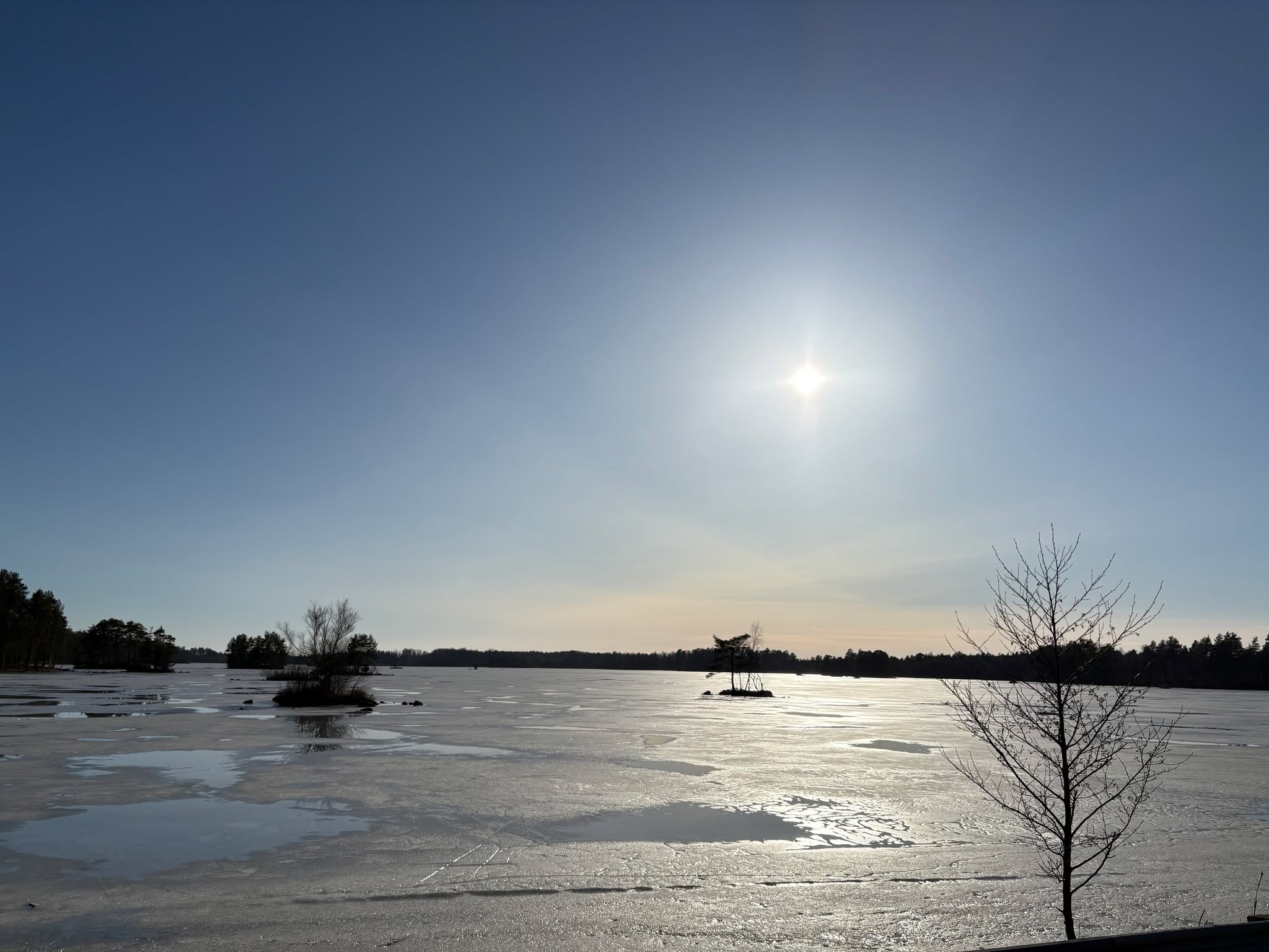 The ice is melting, spring is coming. 🤍💚
#småland #sweden #spring #nature #melting #forestlife #springawakening #slowliving