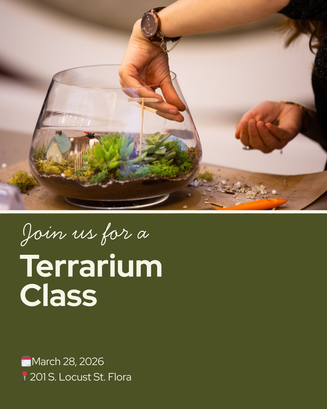 🌿 Ready to play in the dirt…in a jar?
Join me Saturday, March 28th at 11 AM at the Flora Housing Authority on Locust Street in Flora for a hands-on Terrarium Workshop where I’ll walk you step-by-step through building your own unique mini ecosystem. No experience needed—I’ll guide you through the whole process!
✨ All supplies are included, and you’ll leave with a beautiful living terrarium you created yourself. It’s the perfect little way to kick off spring and bring some green back into your home.
🎟 Tickets are limited and the last day to grab yours is March 26th — so don’t wait until the last minute!
🎁 Bring a printed copy of your receipt when you arrive so you can be entered into a door prize drawing to win a fun surprise!
👉 Click the link to purchase your ticket, grab your seat, and come spend a fun morning getting your hands in the soil with me. I can’t wait to see you there! 🌱
https://www.greensproutliving.com/event-details/terrarium-workshop
#terrariumworkshop #floraillinois #springkickoff #plantpeople #growyourown #gardenfun 🌿✨