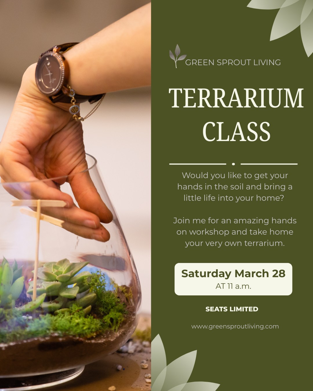 🌿 Ready to play in the dirt…in a jar?
Join me Saturday, March 28th at 11 AM at the Flora Housing Authority on Locust Street in Flora for a hands-on Terrarium Workshop where I’ll walk you step-by-step through building your own unique mini ecosystem. No experience needed—I’ll guide you through the whole process!
✨ All supplies are included, and you’ll leave with a beautiful living terrarium you created yourself. It’s the perfect little way to kick off spring and bring some green back into your home.
🎟 Tickets are limited and the last day to grab yours is March 26th — so don’t wait until the last minute!
🎁 Bring a printed copy of your receipt when you arrive so you can be entered into a door prize drawing to win a fun surprise!
👉 Click the link to purchase your ticket, grab your seat, and come spend a fun morning getting your hands in the soil with me. I can’t wait to see you there! 🌱
https://www.greensproutliving.com/event-details/terrarium-workshop
#terrariumworkshop #floraillinois #springkickoff #plantpeople #growyourown #gardenfun 🌿✨