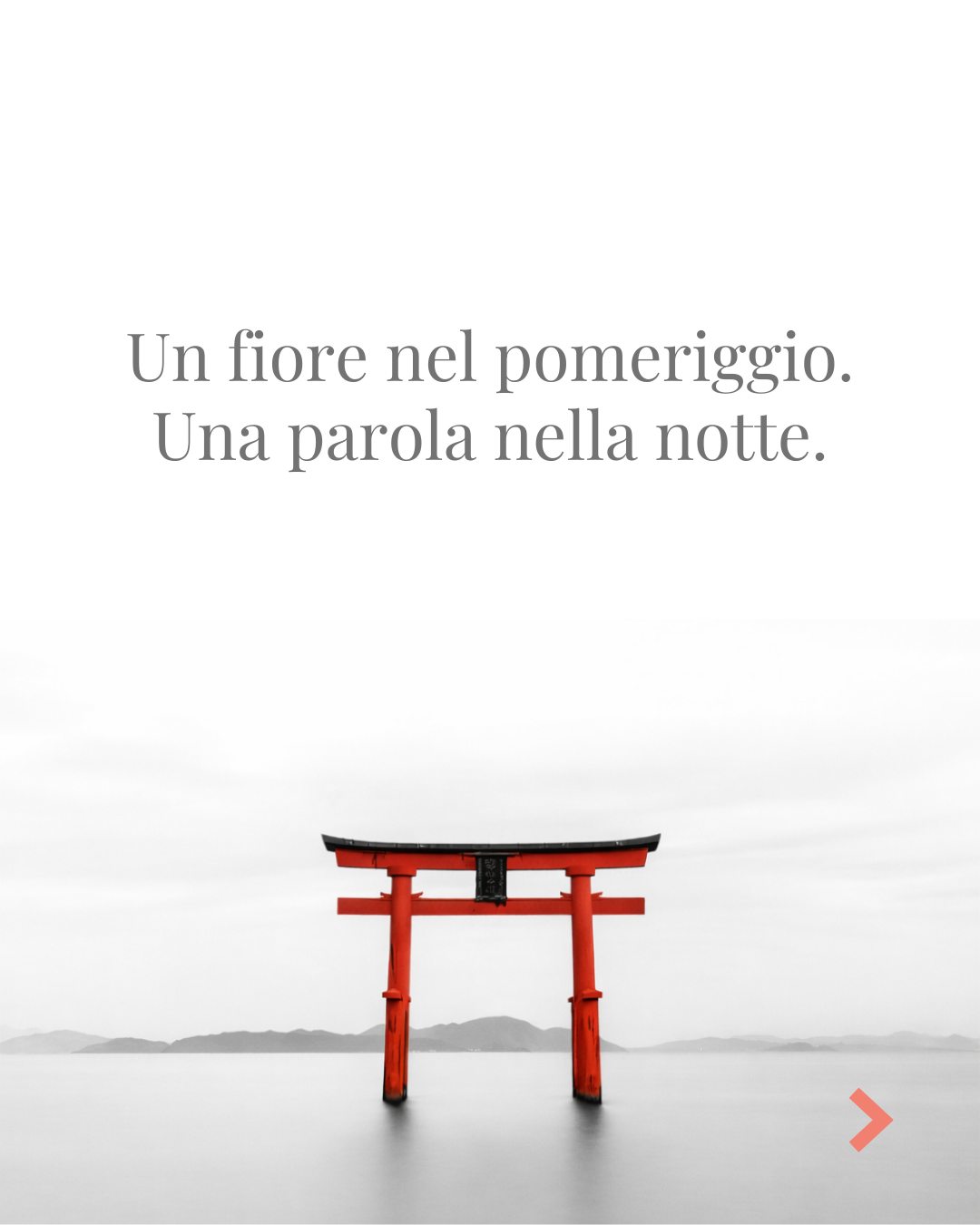 Un fiore nel pomeriggio.
Una parola nella notte.
Domenica 15 marzo sarà una giornata speciale.
Nel pomeriggio ci incontriamo a Torino per il Saiboku Workshop — acquerelli giapponesi. Il soggetto sarà l’Iris, un fiore che emerge dall’acqua con eleganza e verticalità. Dipingerlo significa entrare in quel ritmo: il pennello segue il respiro, il colore trova la sua strada sulla carta, il gesto diventa presenza.
La sera, alle 21, ritorna magnAnima, online su Zoom.
Uno spazio di parole, immagini e ascolto condiviso in cui sostare insieme e lasciare che qualcosa dentro trovi il suo tempo.
🌿 Saiboku Workshop · Iris
📍 Torino - via Locana 14
🕰 14.30 – 16.30
🎨 materiali inclusi
✨ magnAnima
🕰 ore 21
📍 online su Zoom
Il gruppo del workshop resta volutamente piccolo (max 8), così ogni gesto può essere seguito con attenzione.
Se senti che è il momento di esserci, trovi tutte le informazioni dal link in bio oppure puoi scrivermi direttamente.