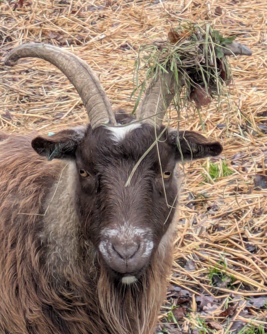 Our volunteer gardener Rolo luckily has his own tools