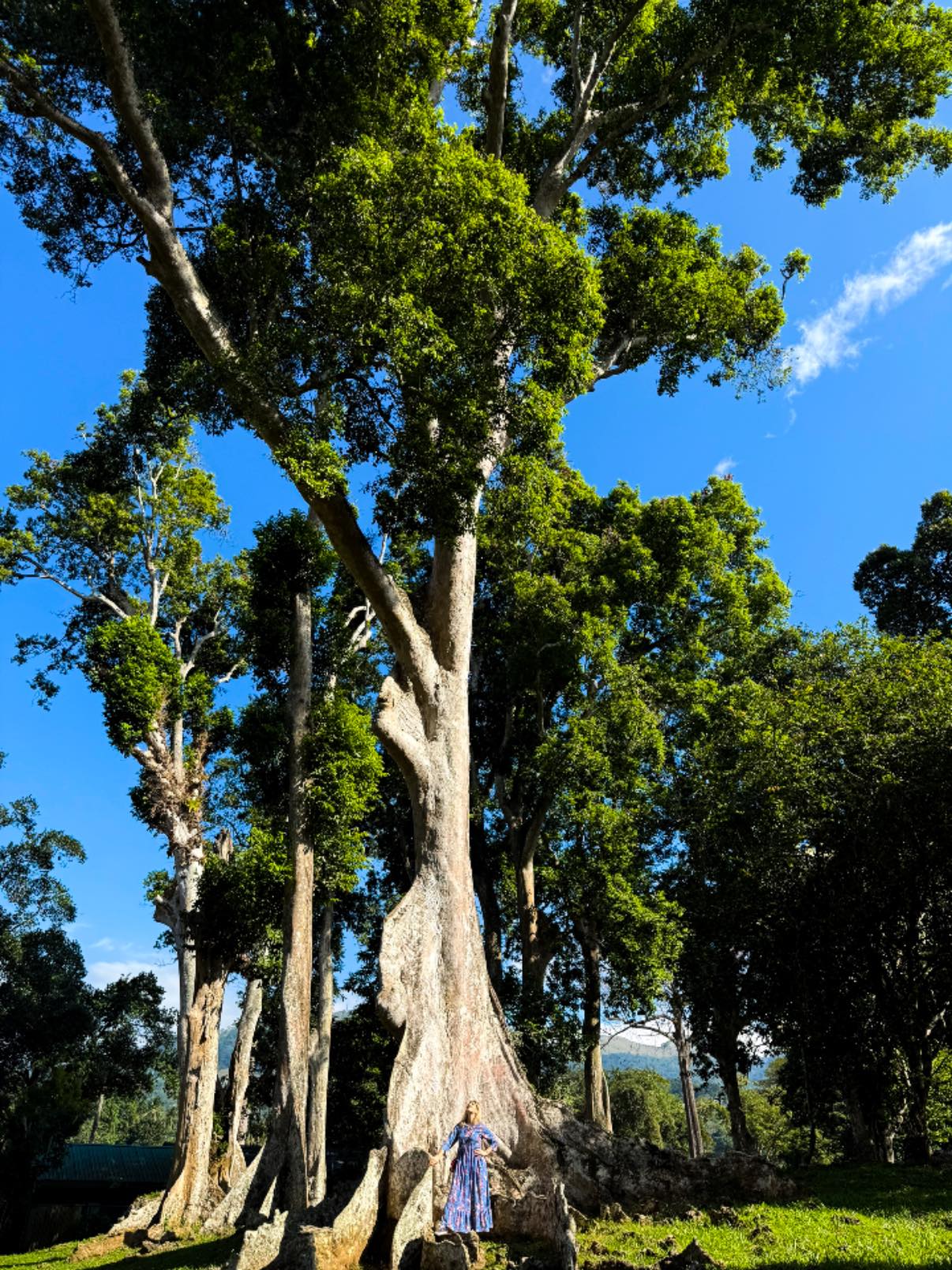 Happy Women’s Day to Mother Nature someone whose strength and love inspire everyone around her. 🎋❣️