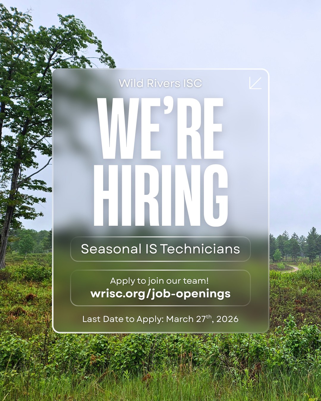 We're hiring!
It's that time of year again! Interested in invasive speices, native plants, and helping your local ecosystems? Then check out our Seasonal Technician postings!
Apply to join our team by March 27th, 2026.
Learn more on our website: www.wrisc.org/job-openings
