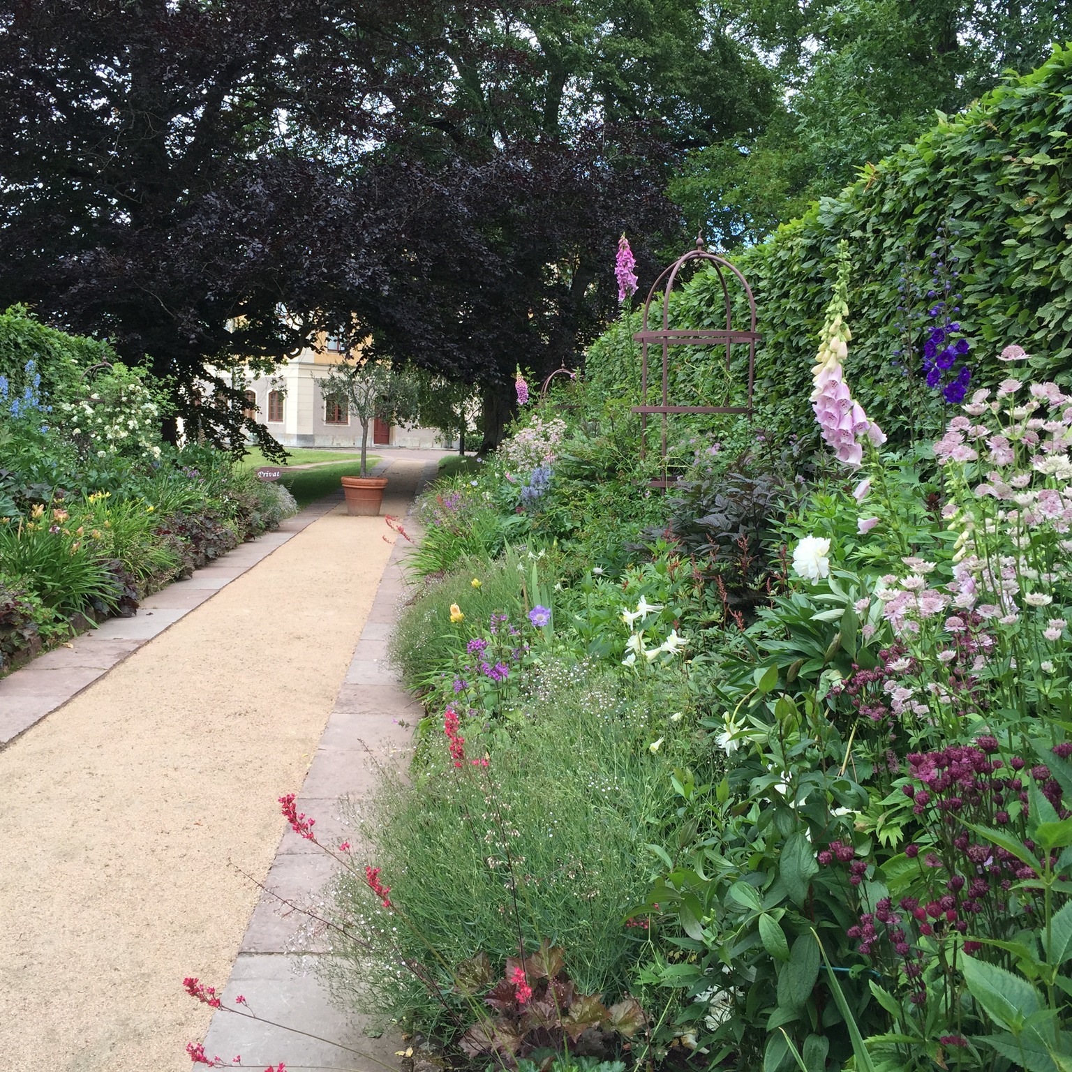 Hällekis Säteri- Själva godset får man inte gå in i, då det är en privatbostad, men man kan betala en liten slant och se deras vackra perenna trädgård. Här finns även servering i deras växthus med en äkta vindruvsranka i taket! Ja, det är faktiskt många som tror att rankan är oäkta, då den ser så perfekt ut med sina gröna blad och vackra klasar. 😊🍇
#hällekissäteri
#kinnekulle
#falkangenkinnekulle
#kinnekullebygdensträdgårdar