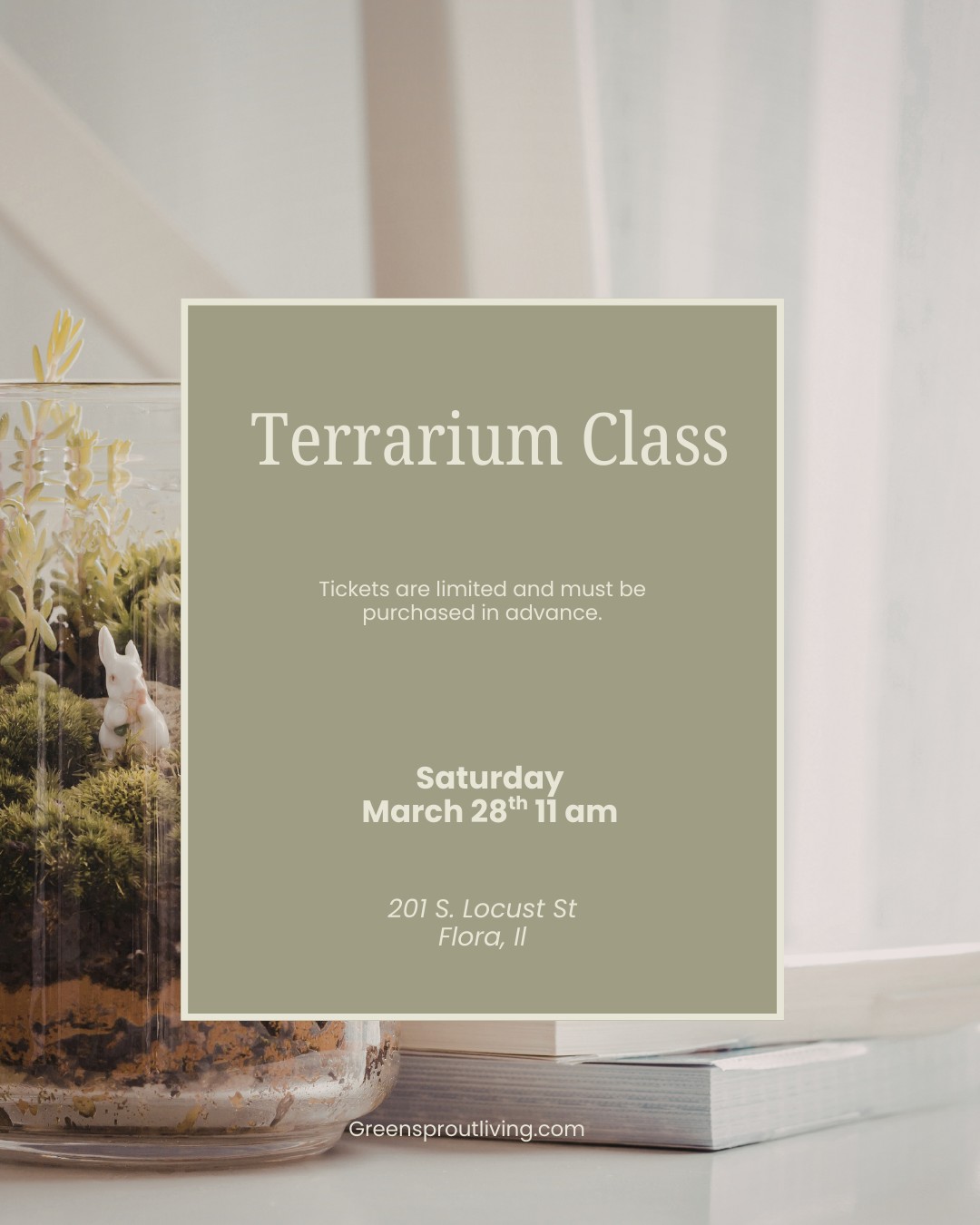 🌿 Ready to play in the dirt…in a jar?
Join me Saturday, March 28th at 11 AM at the Flora Housing Authority on Locust Street in Flora for a hands-on Terrarium Workshop where I’ll walk you step-by-step through building your own unique mini ecosystem. No experience needed—I’ll guide you through the whole process!
✨ All supplies are included, and you’ll leave with a beautiful living terrarium you created yourself. It’s the perfect little way to kick off spring and bring some green back into your home.
🎟 Tickets are limited and the last day to grab yours is March 26th — so don’t wait until the last minute!
🎁 Bring a printed copy of your receipt when you arrive so you can be entered into a door prize drawing to win a fun surprise!
👉 Click the link to purchase your ticket, grab your seat, and come spend a fun morning getting your hands in the soil with me. I can’t wait to see you there! 🌱
https://www.greensproutliving.com/event-details/terrarium-workshop
#terrariumworkshop #floraillinois #springkickoff #plantpeople #growyourown #gardenfun 🌿✨