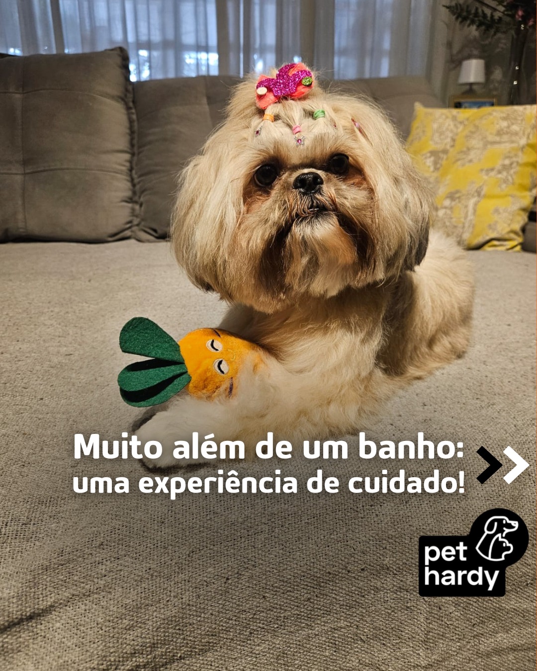 Muito além de um banho 💦 Uma experiência de cuidado. ❤️
Pet Hardy | Clínica Veterinária e Pet Shop
📍 Av. Miruna, 272 - Indianópolis - São Paulo/SP
📲 (11) 91346-6234
#PetHardy #BanhoETosa #CuidadoComAmor #PetShopIndianopolis #VidaDePet #InstaDog #FofuraDoDia #AmorAosAnimais #BemEstarPet