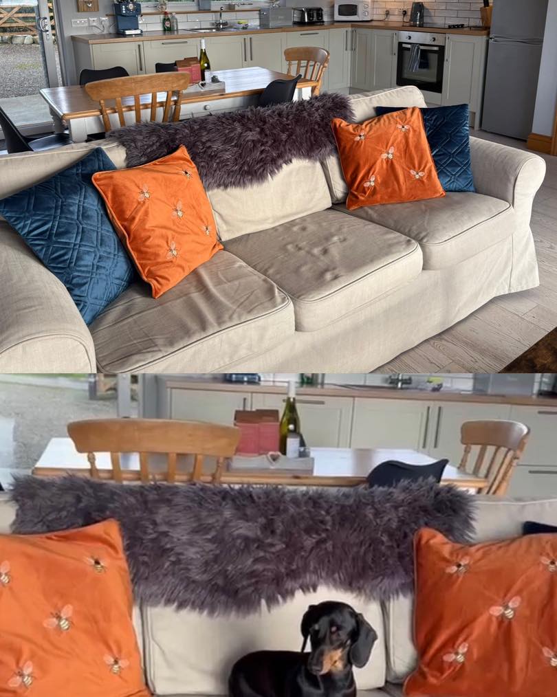 S L O W living in the countryside. Weekend incoming…✨🐾
📍Gatehouse of Fleet, Dumfries and Galloway
#restandrelax #luxuryproperties #gloriousgalloway #dogfriendly #dumfriesandgallowaylife #gallowayview 🌱