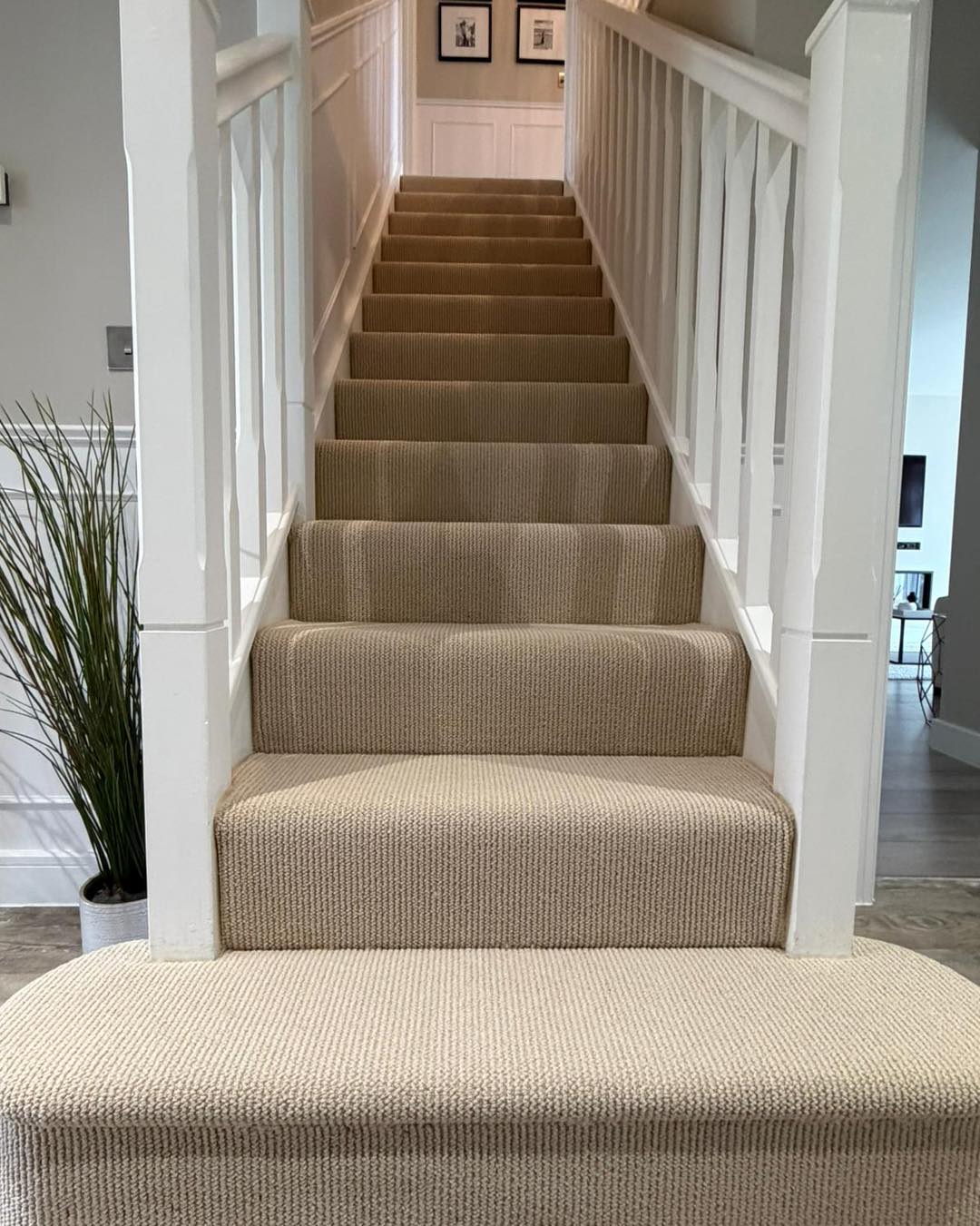 cormarcarpets primo textures 🤤
Fitted on 9mm jazz underlay
Jamie back to what hes doing best after a short lay off ⚒️
From £19.99 sqm
Availiable to view in store or samples can be ordered online at
Cormarcarpets.co.uk