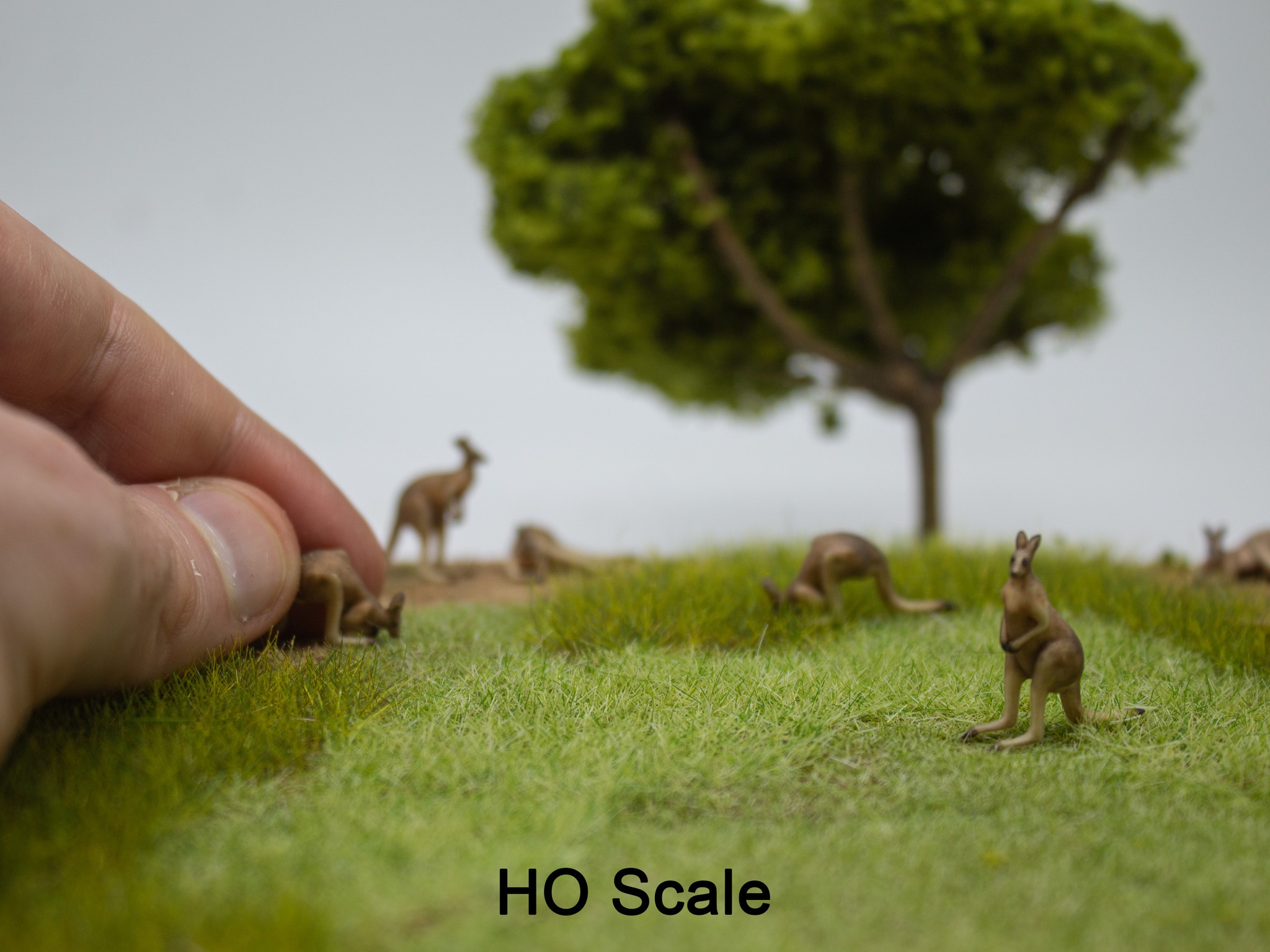 Always trying to perfect my craft - a picture here of the various iterations of kangaroo's since I started printing. Different print technologies, different materials, some printed by third parties and some by me. I think after 6 years I'm finally satisfied with the coloured product and we can now produce them in-house. Thanks to everyone for the feedback and support over the years! #hoscale #miniature #modeltrains #tiny #miniatures