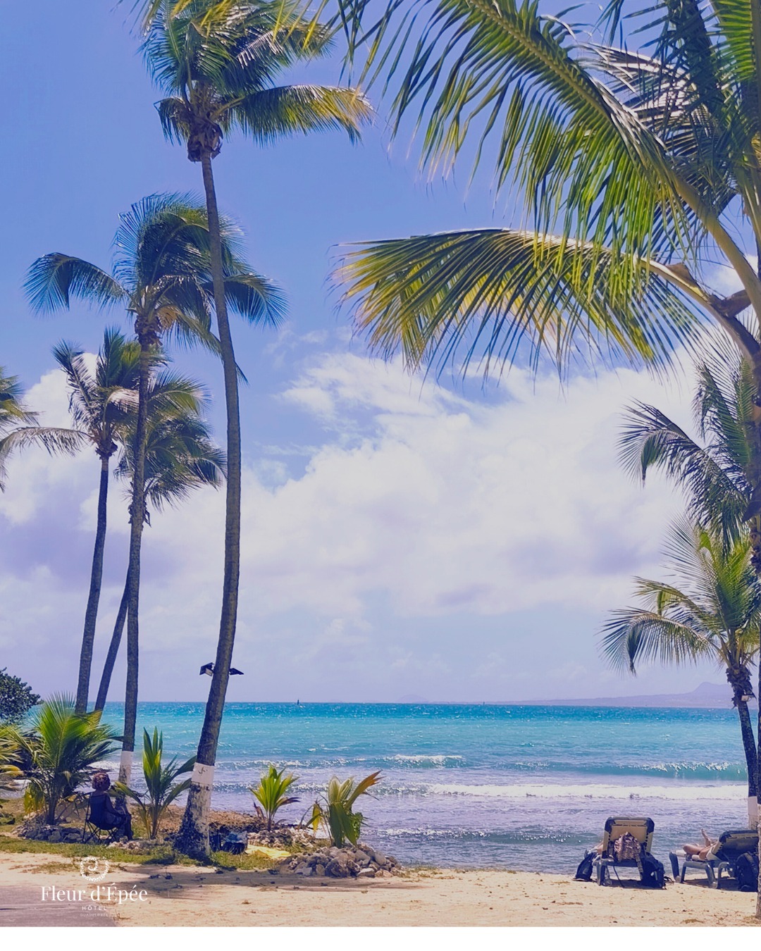 Côté crique, chacun trouve son rythme :
☀️ bronzette sur transat pour capter chaque rayon,
🌿 ou pause à l’ombre, bercé par le bruit de la mer.
Ici, il n’y a pas une seule façon de profiter… seulement la vôtre.
Et vous, team soleil ou team ombre ? 👀
#immersionalhotel #plagehotel #plageguadeloupe #hotelexperience