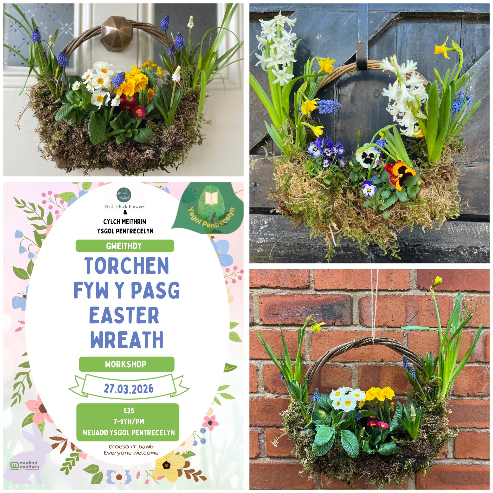 Visit our website event page for more info on our upcoming Easter Wreath Workshop at Ysgol Pentre celyn and book your ticket.
📅 27th March
🕖 7pm
💷 £35 per person
All for a good cause 🌿