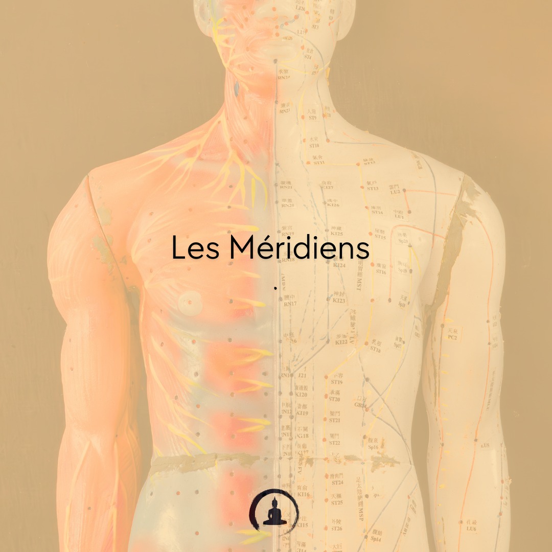 Les Méridiens
Les méridiens ne sont pas des tubes.�Ce sont des réseaux fonctionnels dans les tissus.
📍 Cabinet Zen Garden - Carouge
🔹 Acupuncture | Fasciathérapie | Thérapies énergétiques
🔹 Approche holistique pour harmoniser corps & esprit
🔹 Prenez soin de votre santé naturellement
📲 RDV & infos sur 👉 www.cabinet-zengarden.org
💬 Vous avez déjà essayé la Médecine Chinoise ?
Dites-moi en commentaire ! ⬇️
#MédecineChinoise #Acupuncture #Fasciathérapie #BienÊtreNaturel #ZenGarden #Carouge #SantéHolistique #ÉnergieVitale