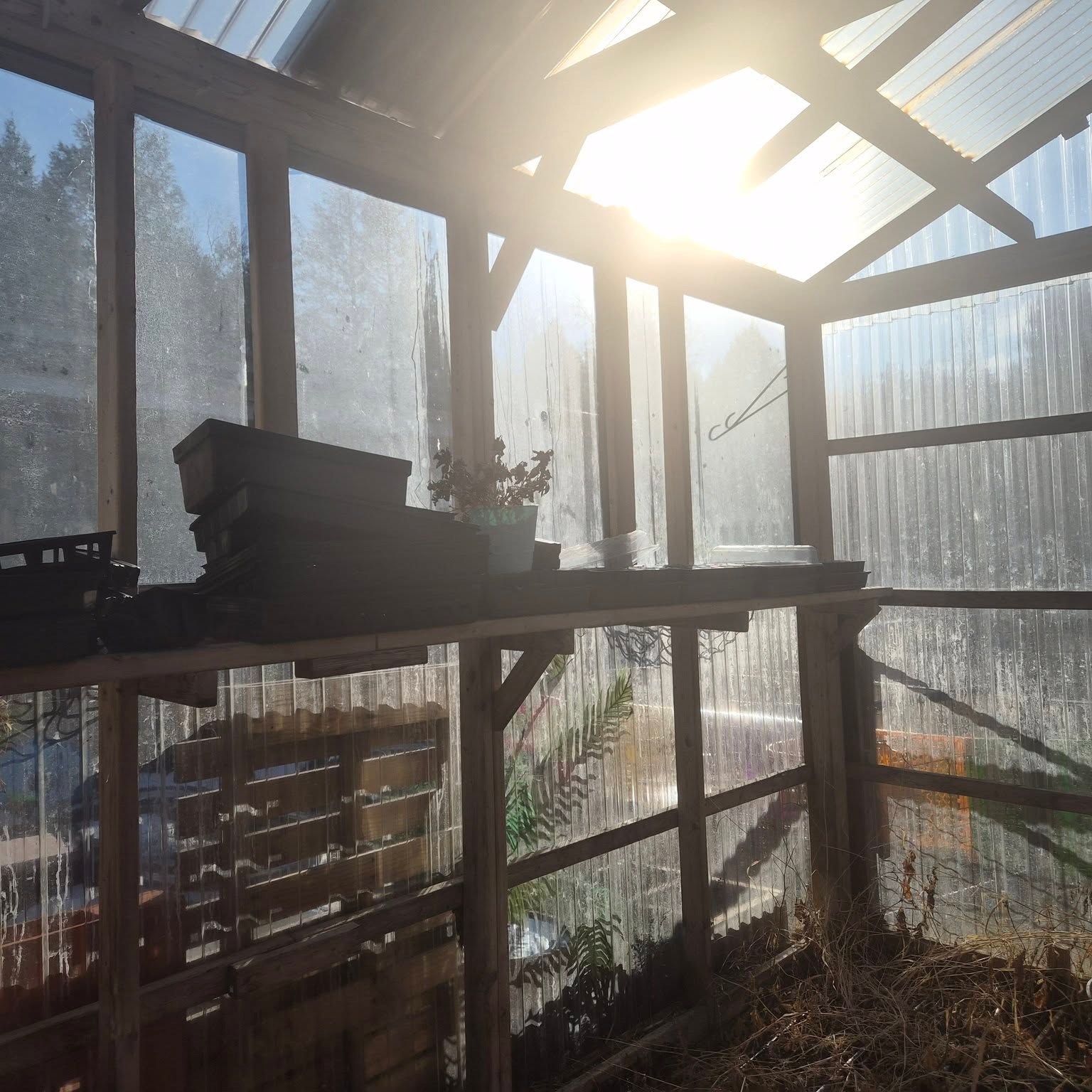 Behind the scenes, we are preparing the garden for the growing season.
Old plants are being cleared away, pots and trays are being gathered, and the greenhouse is slowly coming back to life. Soon it will be filled with seedlings waiting to be planted in the garden beds.