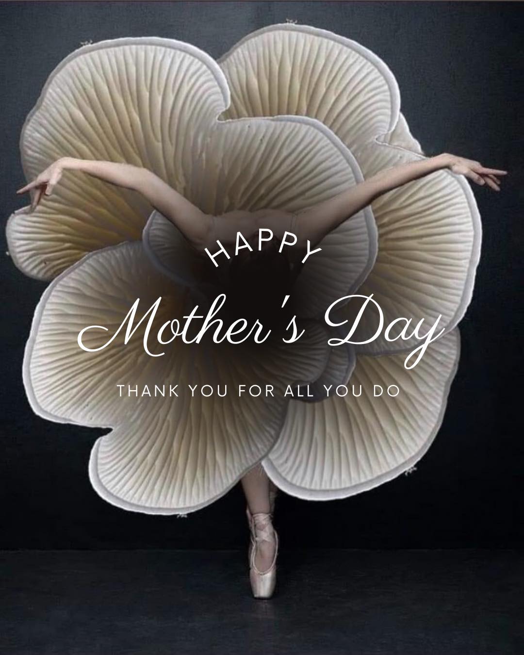 Happy Mother’s Day 💐
A huge thank you to all of our WGA Mum’s today! Thank you for all you do ♥️🩷🩵💙